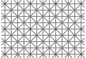 These 12 black dots illusion are blowing the internet’s mind 